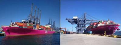 Первый в мире пурпурный контейнерный контейнер в порту Янтьян, Китай. Фото: Ocean Network Express (Восточная Азия). Ltd.
