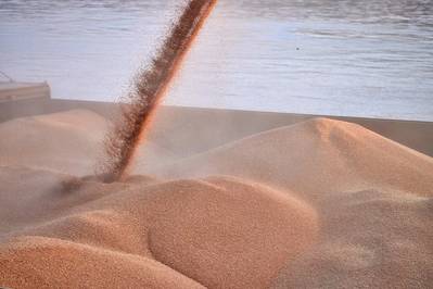 © リチャード Cff / Adobe Stock