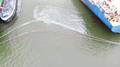 Oil Spill Forces Partial Shipping Halt at Port of Antwerp