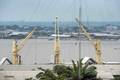 Douala Port Resumes Operations After Cargo Vessels Collide