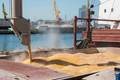 10 Dead in Russian Missile Strike on Corn Ship in Black Sea