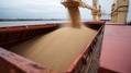 Ukraine Explores Alternative Grain Routes