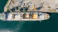 European Wheat Prices Extend Losses Amidst Black Sea Truce Talks
