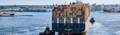 Port Everglades Welcomes Largest Cargo Ship to Date