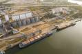 EU Wheat Pares Gains As Ukraine Proposes Black Sea Truce