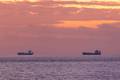 Hormuz Crossings Rise Slightly from Weekend