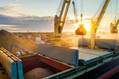 Attacks on Shipping Shut Down Black Sea Grain Exports