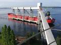China Ships First Large Cargo of Brazilian Sorghum