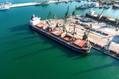 Corn, Wheat Reach Multi-Year Highs Amidst US Crop, Black Sea Export Worries