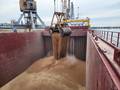 European Wheat Prices Fall on Hopes of Black Sea Peace