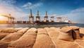 Russian Wheat Exports Rise in Price as Black Sea Supplies Dwindle