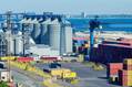 European Wheat Rises As Black Sea Disruptions Continue