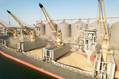 EU Wheat Prices Remain Steady as Black Sea Uncertainties Remain