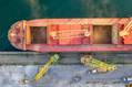 Sovecon Cuts Russian Grain Forecast Amidst Black Sea Disruptions