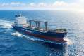 Reefer Ships: Resilient Link in the Cold Chain