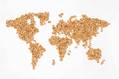 EU Wheat Rises After Saudi Tender, Continued Black Sea Tensions