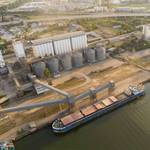 Russian Baltic Ports Boost Grain Export Capacity by 170%
