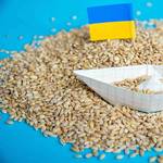 EU Wheat Prices Rise After Another Black Sea Attack, Algerian tender