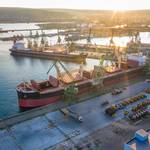 European Wheat Falls Alongside Shifts in the Euro, Russian Exports