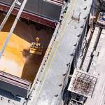 Seaborne Grain Exports from Russia Drop 62% in September