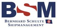 BSM logo