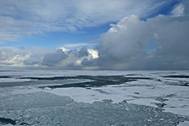 Arctic Summer Ice: Photo courtesy of NOAA
