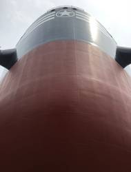 Pic: 2020 Bulkers