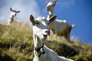 © carbonyte/Adobe Stock