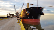 Bulk carrier M/V Trudy, part of MINSHIP’s managed fleet (Photo: MINSHIP)