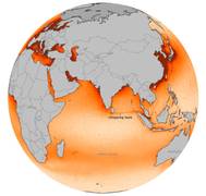 Global NOx Map: Image credit NASA