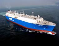 Grace Barleria (Photo: NYK)