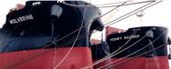 Image: Star Bulk Carriers Corp