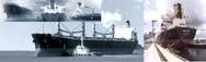 Image: DryShips Inc