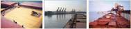 Image: DryShips Inc.