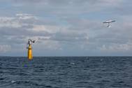 Image: Makani