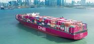 Image: Ocean Network Express