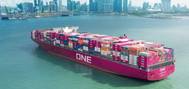 Image: Ocean Network Express