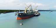 (Image: Oldendorff Carriers)