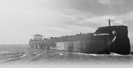 Image: Scorpio Bulkers