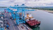 Image: APM Terminals