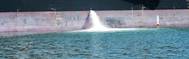 Pic: International Maritime Organization (IMO)