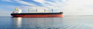 Pic: International Maritime Organization