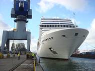 MSC Magnifica