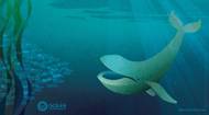 Pic: Ocean Conference, UN