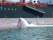 Online surveys are part of IMO study which aims to provide a comprehensive review of the technical standards and approval testing procedures in the Guidelines for approval of ballast water management systems (G8). (Photo: IMO)