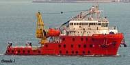 'Oranda 1': Photo courtesy of Otto Marine