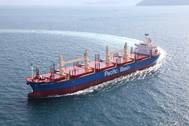Pic: Pacific Basin Shipping Limited
