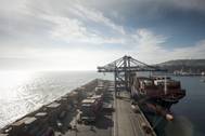 Photo courtesy San Antonio Terminal Internacional