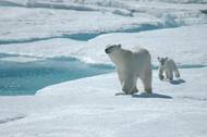 Photo courtesy: One Ocean Expeditions
