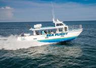 Photo credit: Manta Films / Pure Florida